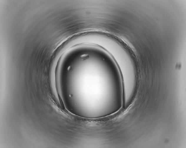 X0000093580969200710291058