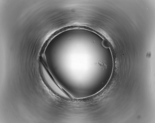 X0000093580972200710291058