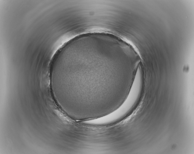 X0000093580973200710291058