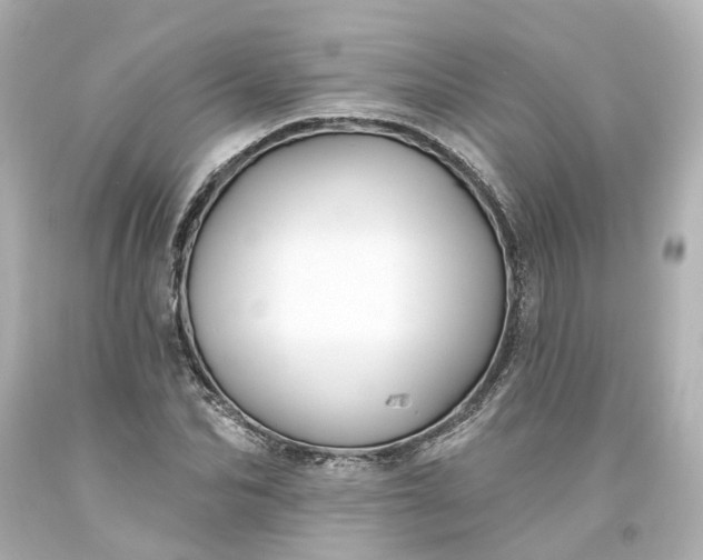 X0000093580974200710291058