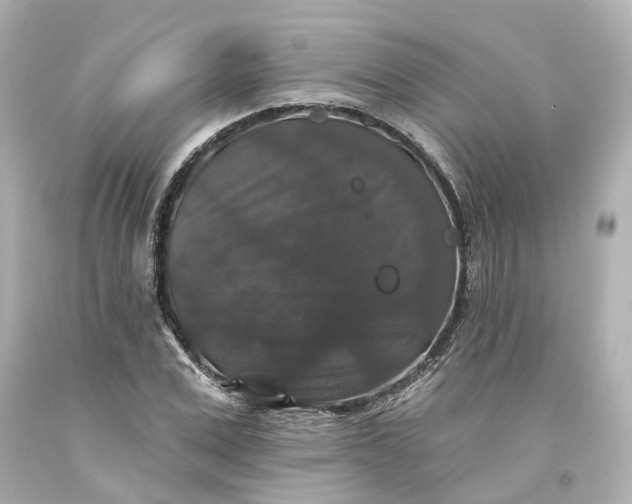 X0000093580975200710291058