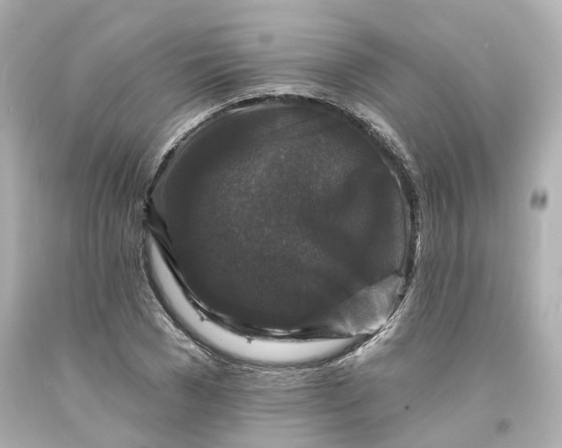 X0000093580977200710291058