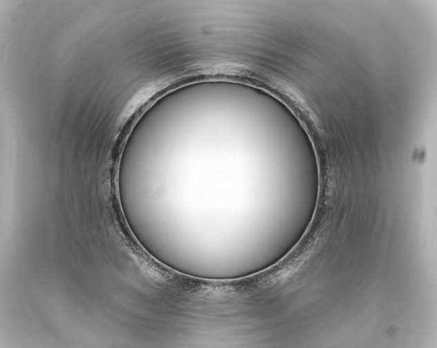 X0000093580978200710291058