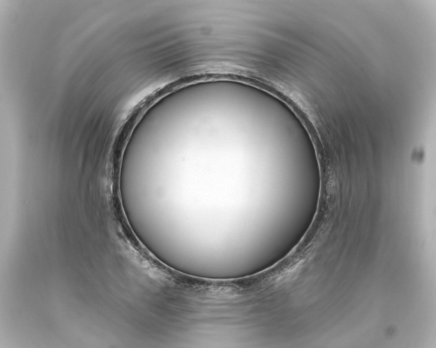 X0000093580979200710291058