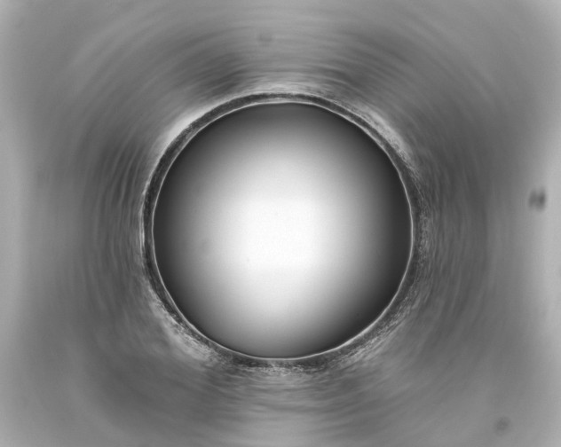 X0000093580980200710291058