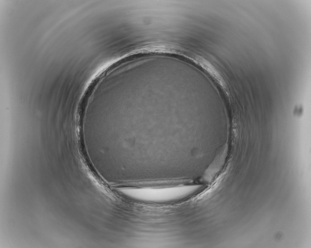 X0000093580981200710291058