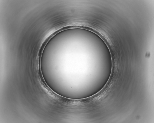 X0000093580982200710291058