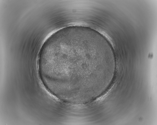 X0000093580983200710291058