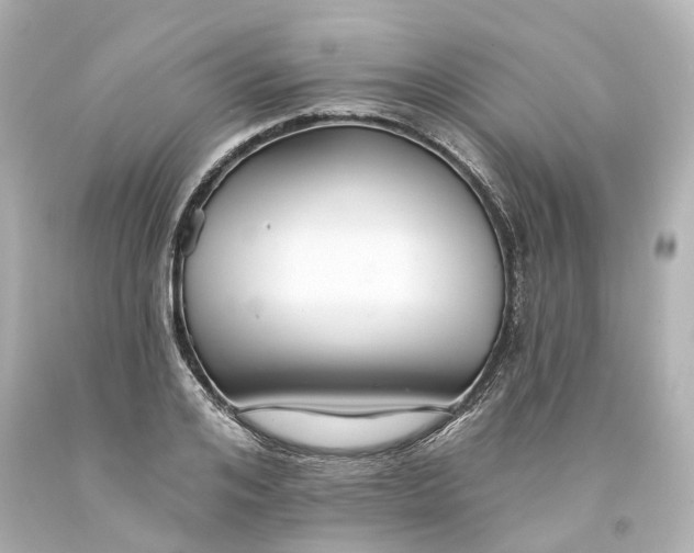 X0000093580984200710291058