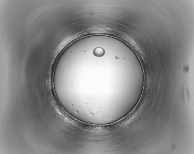 X0000093580986200710291058