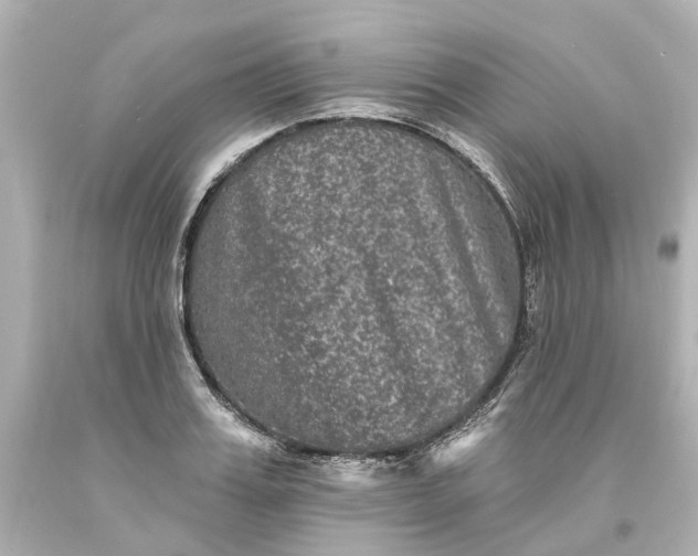 X0000093580987200710291058