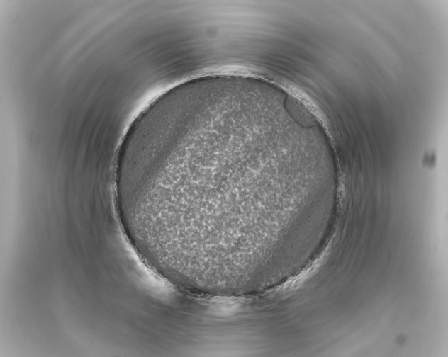 X0000093580989200710291058