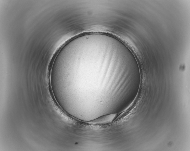 X0000093580990200710291058