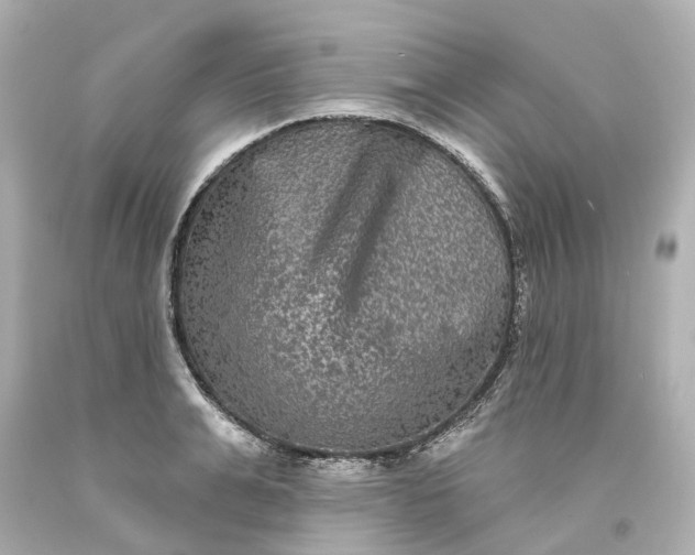 X0000093580991200710291058