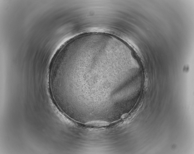 X0000093580992200710291057