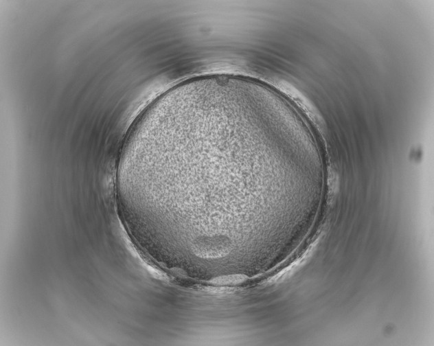 X0000093580993200710291057