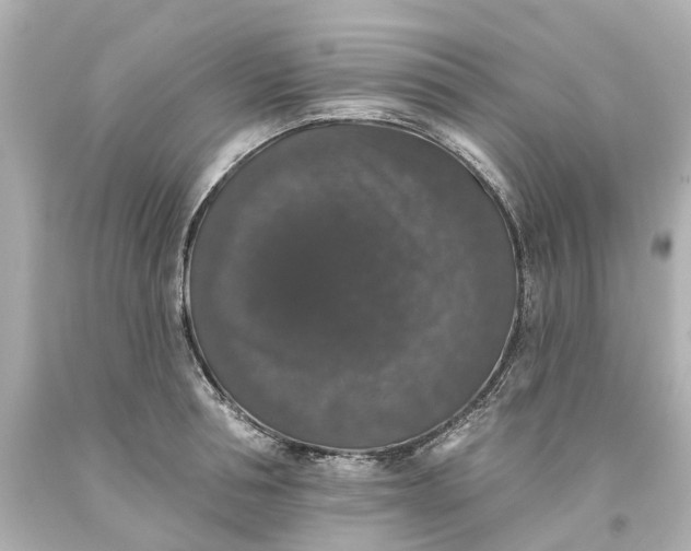 X0000093580994200710291057