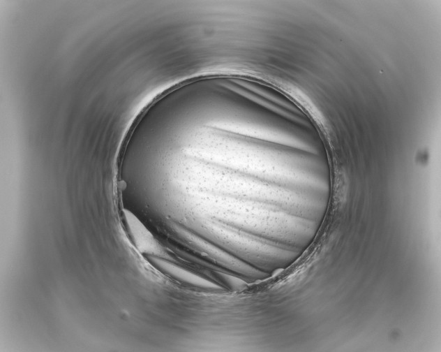 X0000093580996200710291057