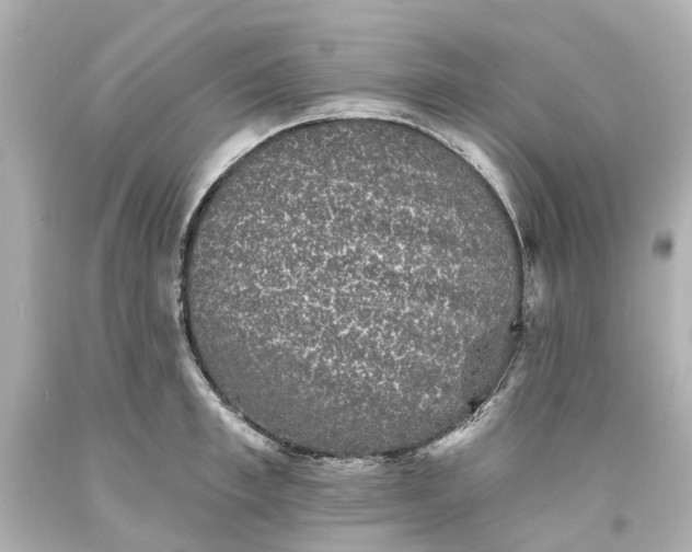 X0000093580997200710291057