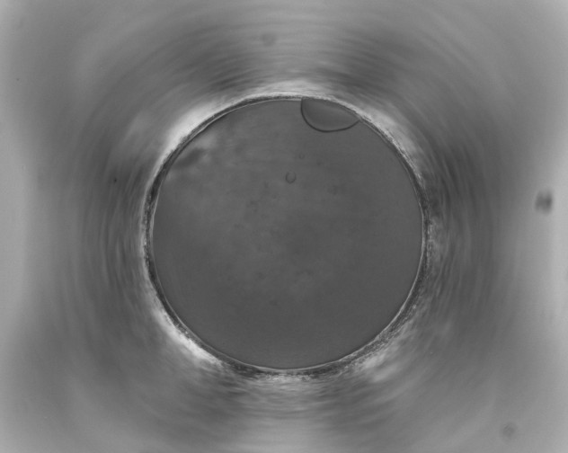 X0000093580998200710291057