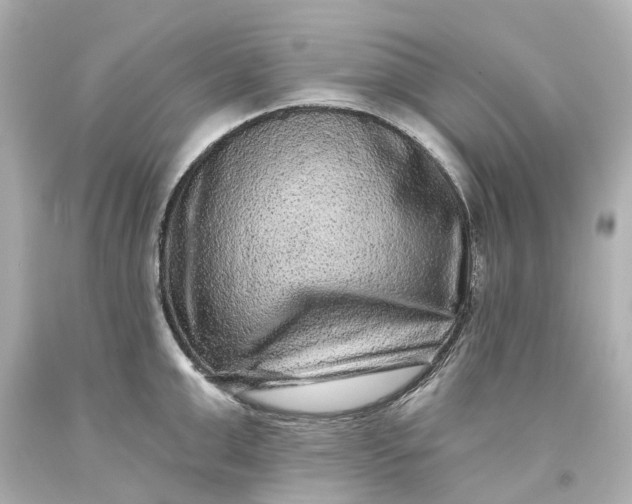 X0000093580999200710291057