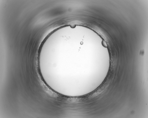 X0000093581000200710291057