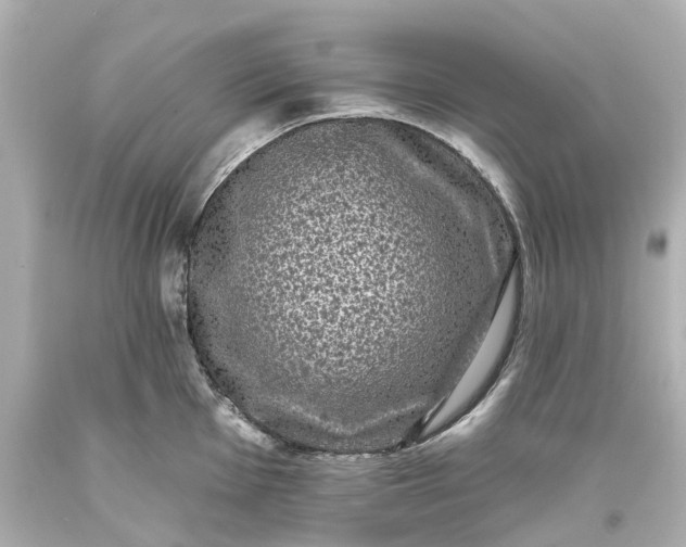 X0000093581001200710291057