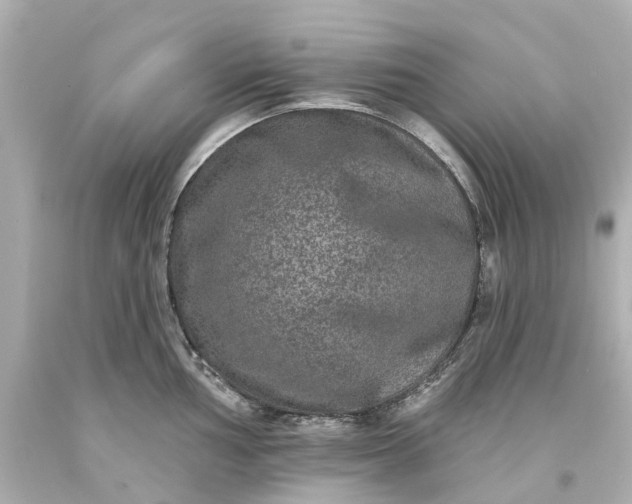 X0000093581002200710291057