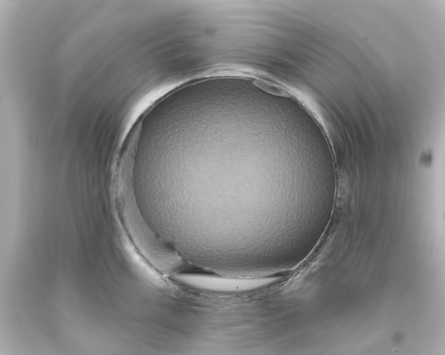 X0000093581003200710291057