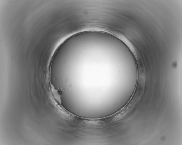 X0000093581004200710291057