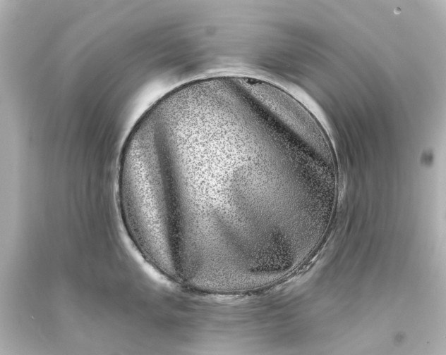 X0000093581005200710291057