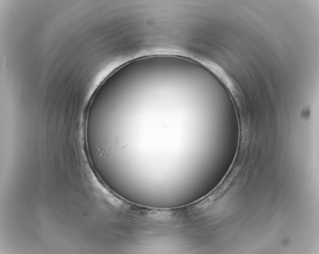 X0000093581006200710291057