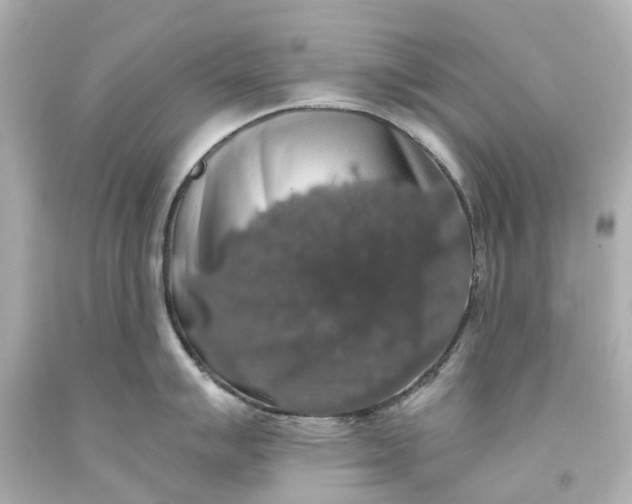 X0000093581007200710291057