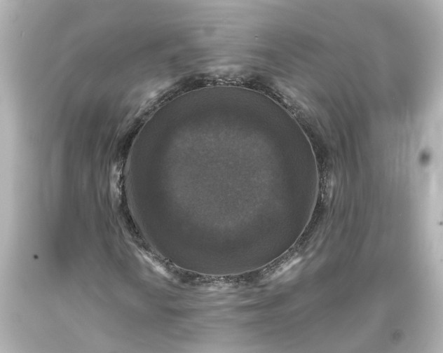 X0000093581010200710291057