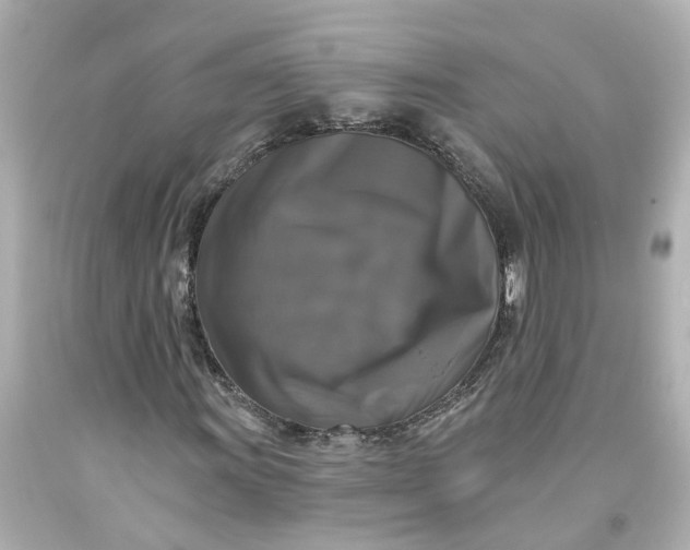 X0000093581011200710291057