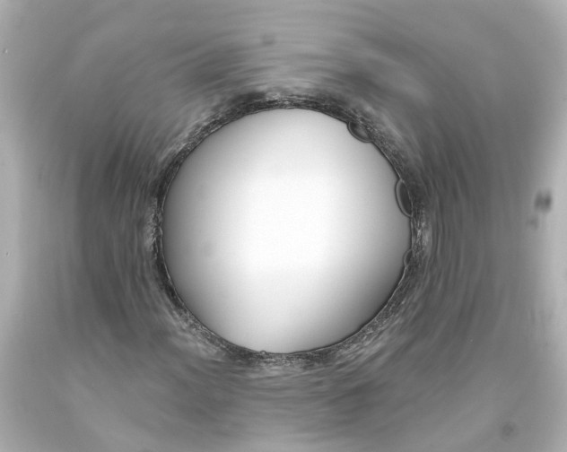 X0000093581012200710291057