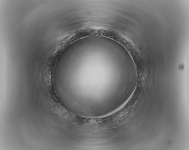 X0000093581013200710291057