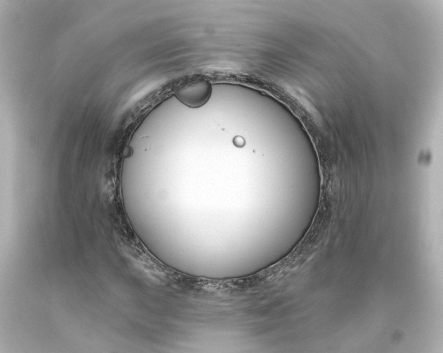 X0000093581015200710291057