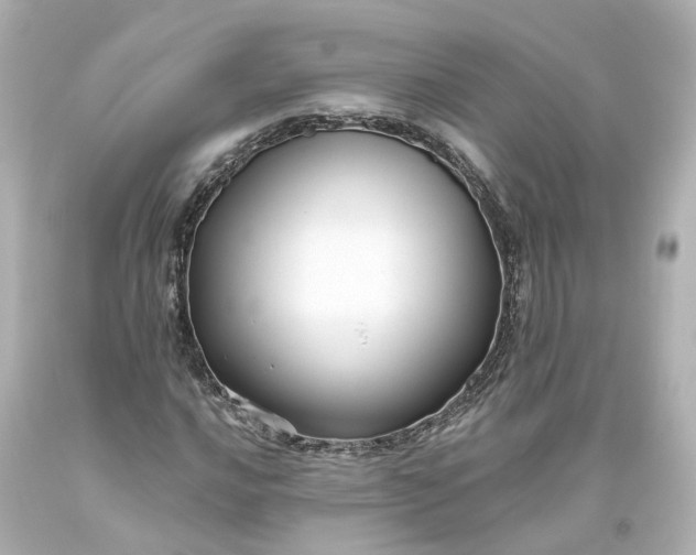 X0000093581016200710291057