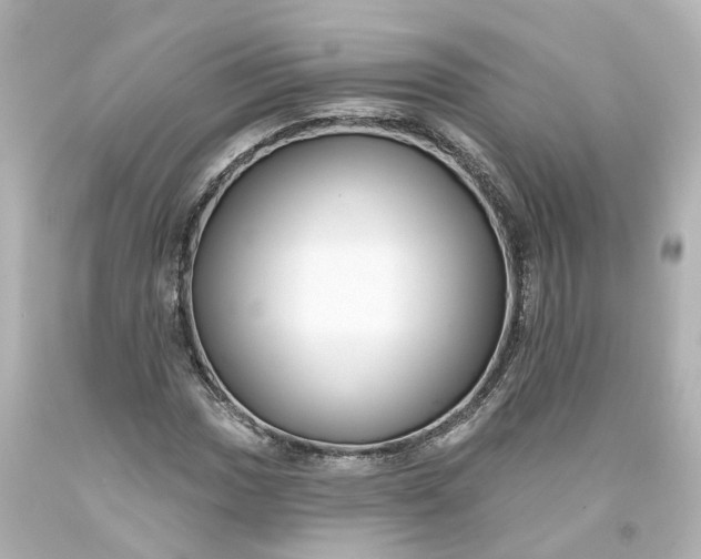 X0000093581017200710291057