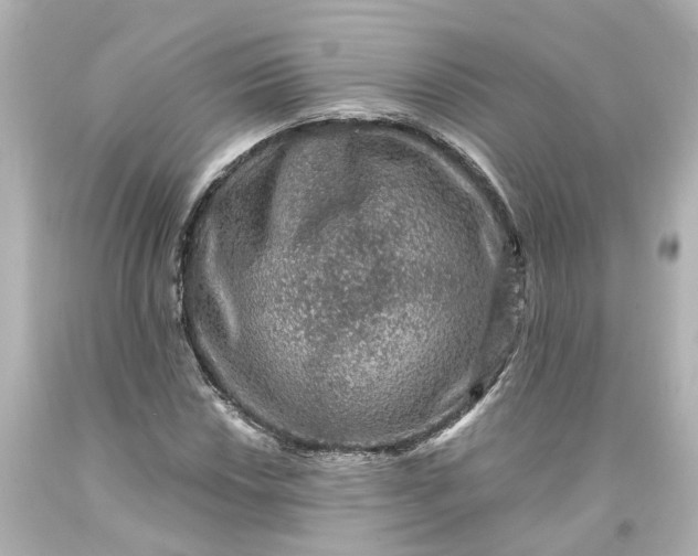 X0000093581018200710291057