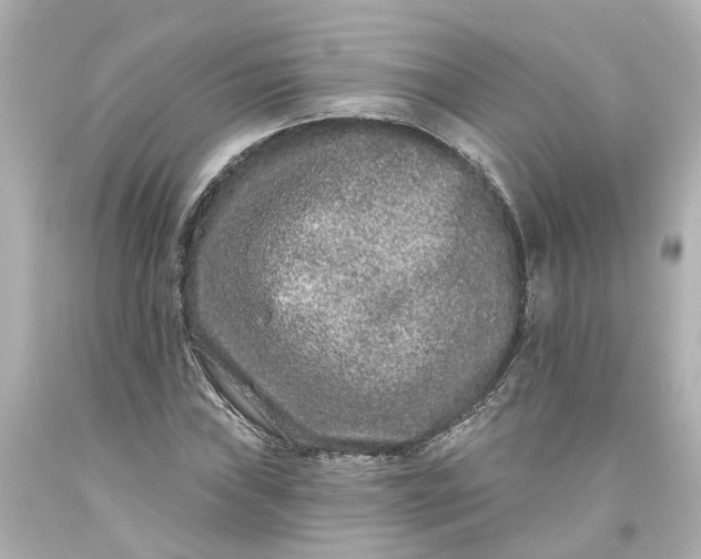 X0000093581019200710291057