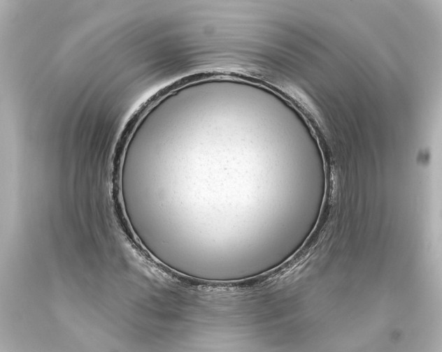 X0000093581020200710291057