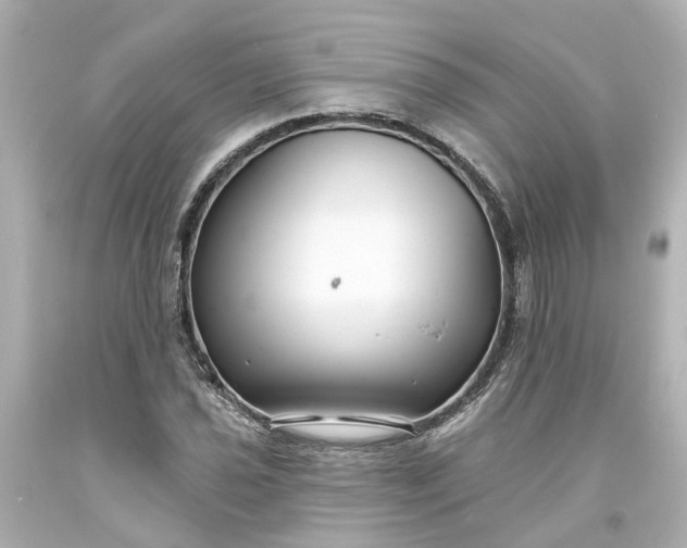 X0000093581021200710291057