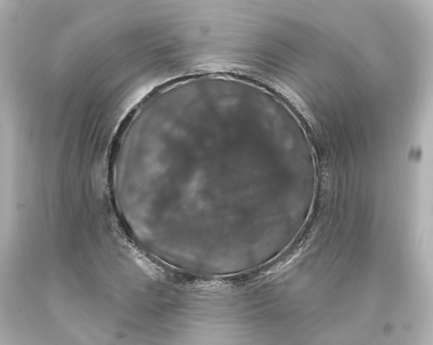 X0000093581023200710291057