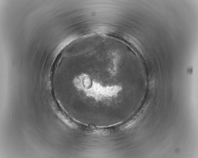 X0000093581026200710291057