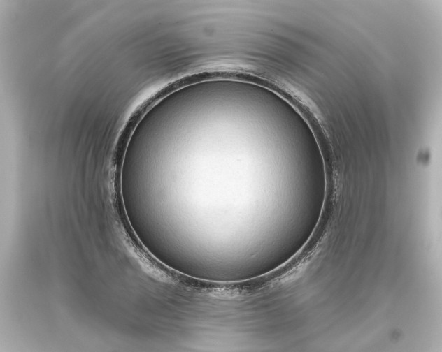 X0000093581029200710291057