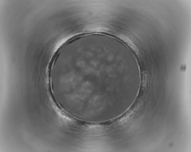 X0000093581031200710291057