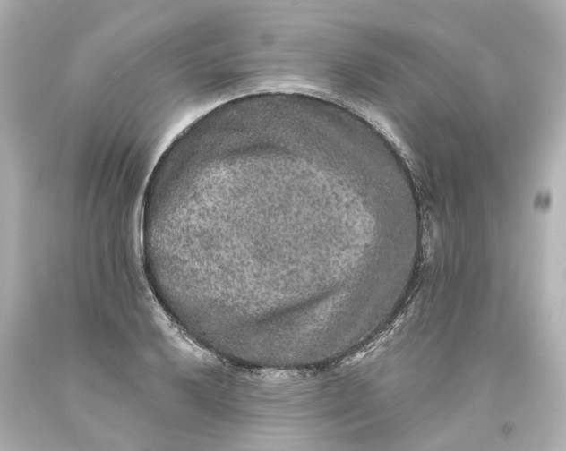 X0000093581032200710291057