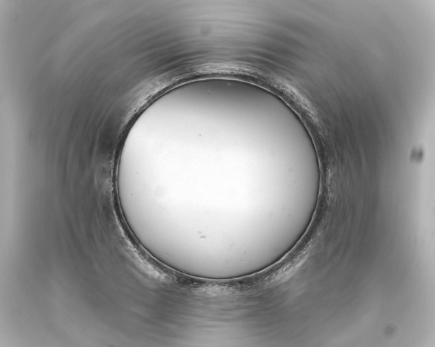 X0000093581033200710291057